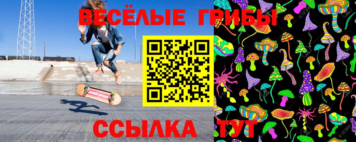 Галлюциногенные грибы мухоморы Кинель